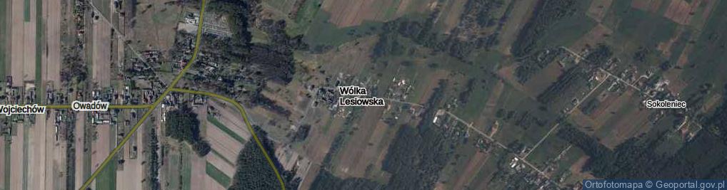 Zdjęcie satelitarne Wólka Lesiowska ul.